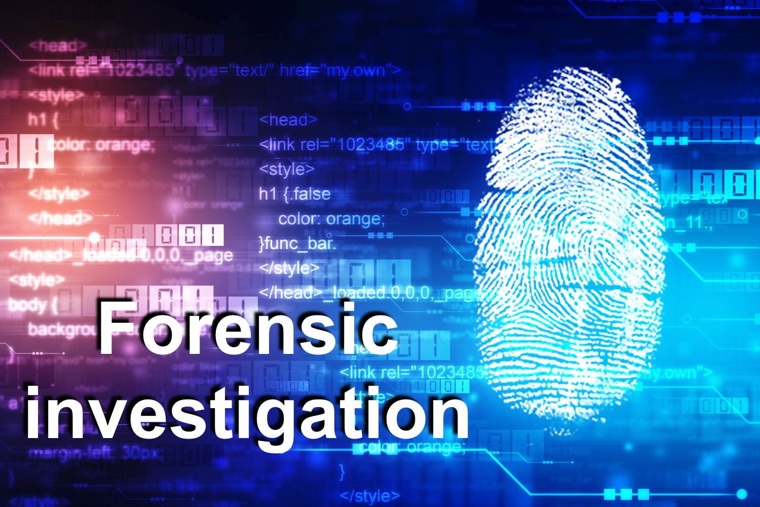 Digital Forensic Investigator